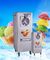 _ Hard Ice Cream Floor Commercial Refrigerator Freezer With 2 Tanks